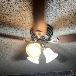 Ceiling fan