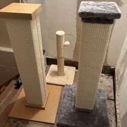 Cat Scratching Posts