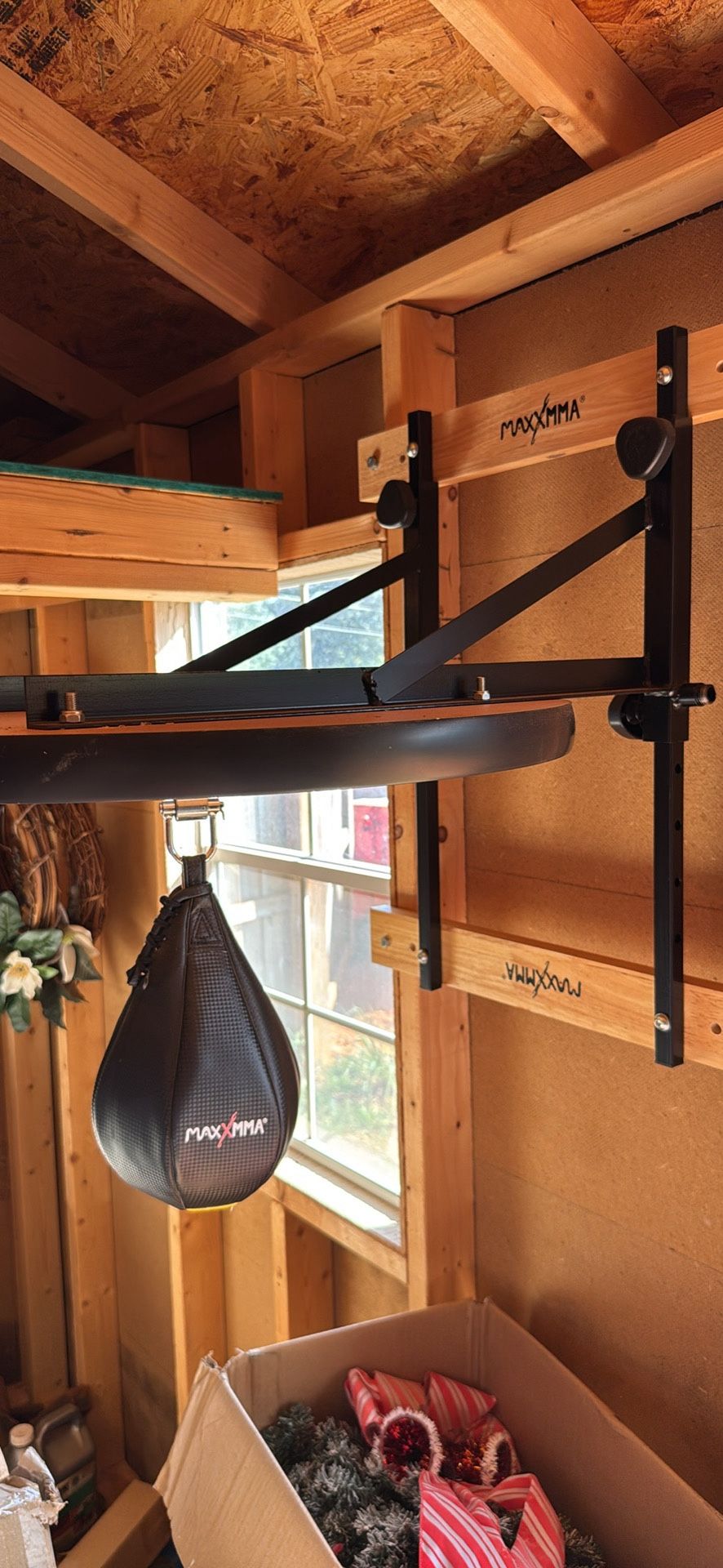 Speed Punching Bag