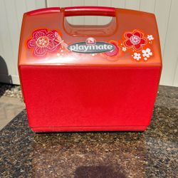 Playmate Igloo Cooler 