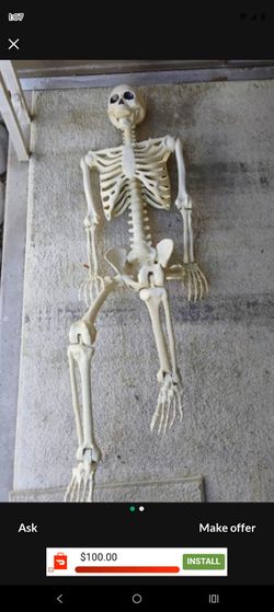 Moveable Jointed Skeleton 