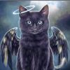 Angel Cat