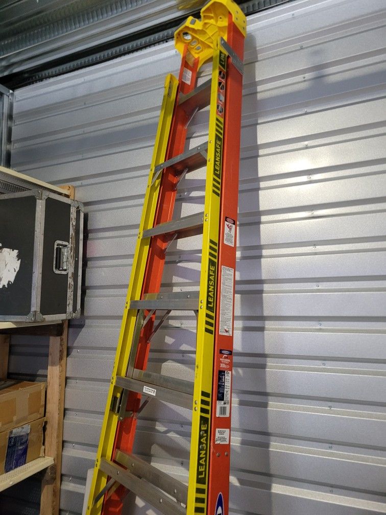 Werner Profeasional 10 Ft Lean Safe Fiberglass Ladder