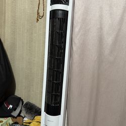 Fan
