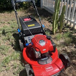 Toro (semi Nueva )