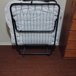 Rollaway.  Bed.  