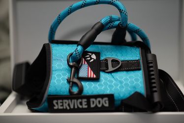 Service Dog Essential