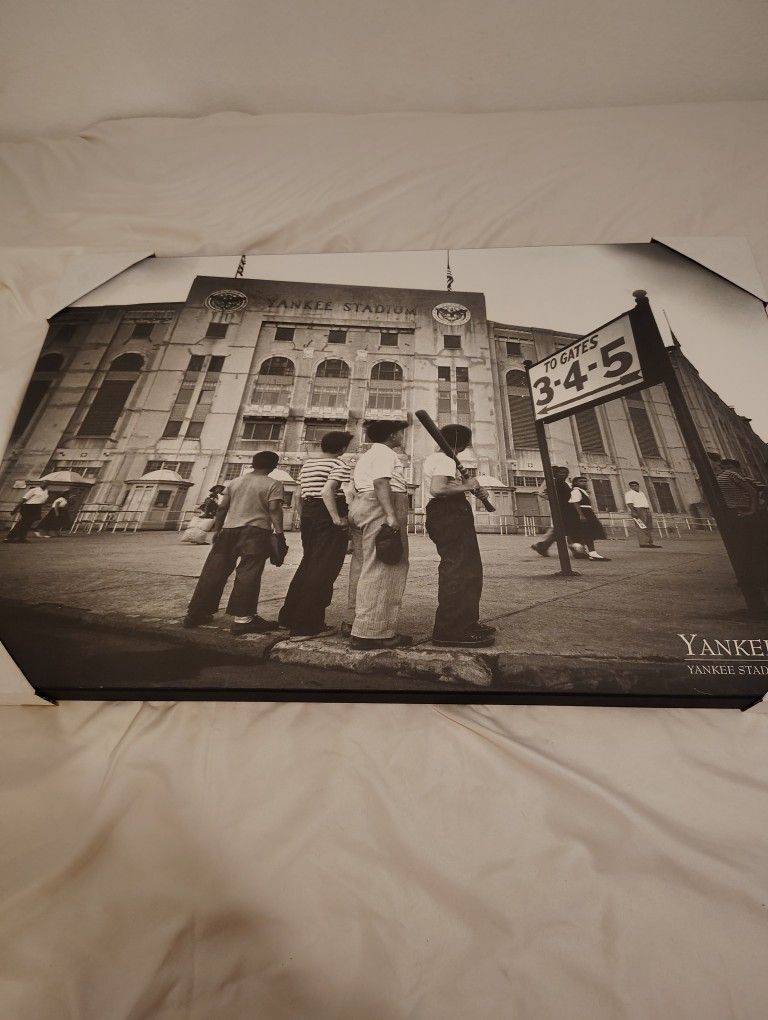 Vintage Black White Baseball Picture