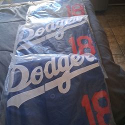 Yamamoto Blue and Gray