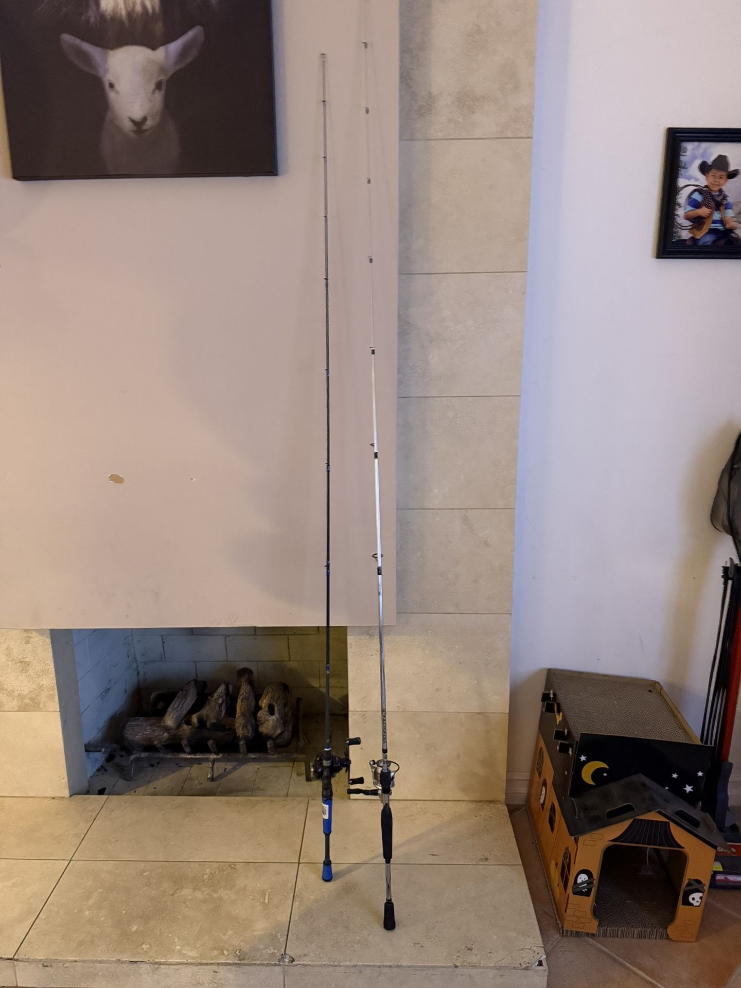 Fishing Rods