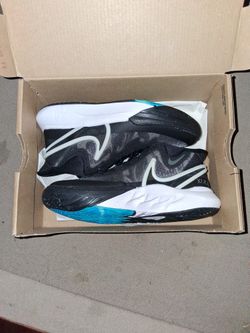 Kylie 8 11c