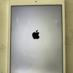 Apple iPad Mini 2 With Case