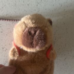 Capibara