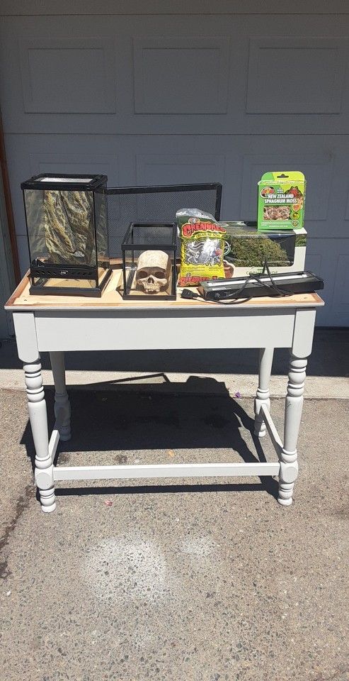 Terrarium Supplies Bundle