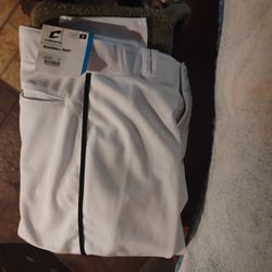 Brand new Champ Pro baseball pants new