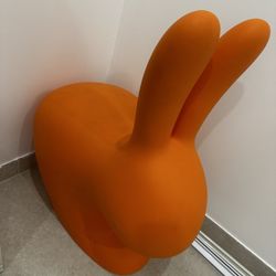 Orange Bunny 