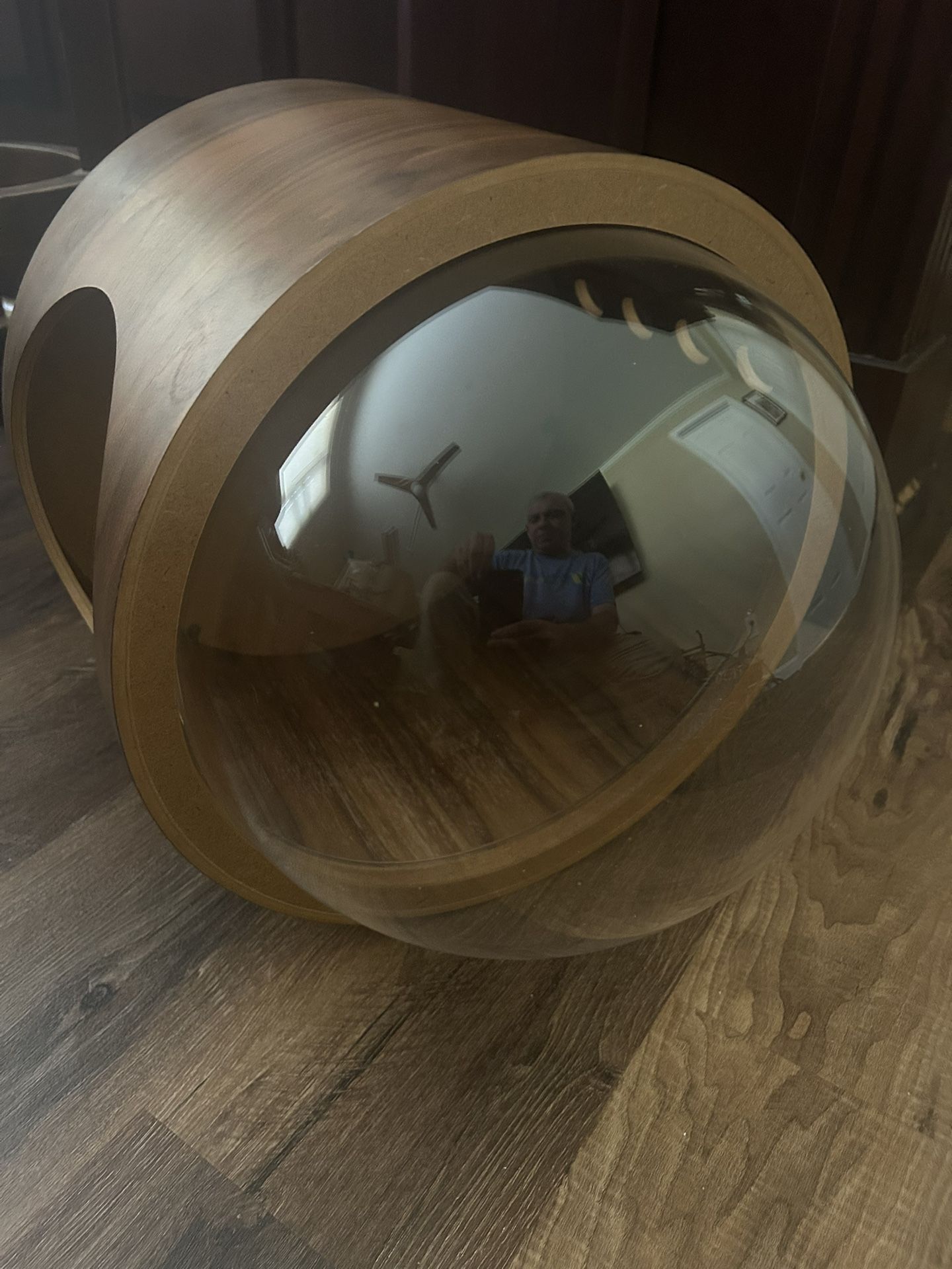 Cat Bubble