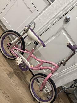 Scwhin bike