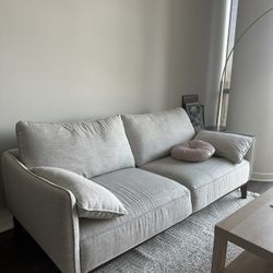 Amazon Couch