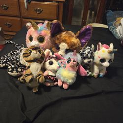Beanie babies collection set colors eyes 20 for the 11 set $21 dollars and the 8 is $16  for all of them is $30