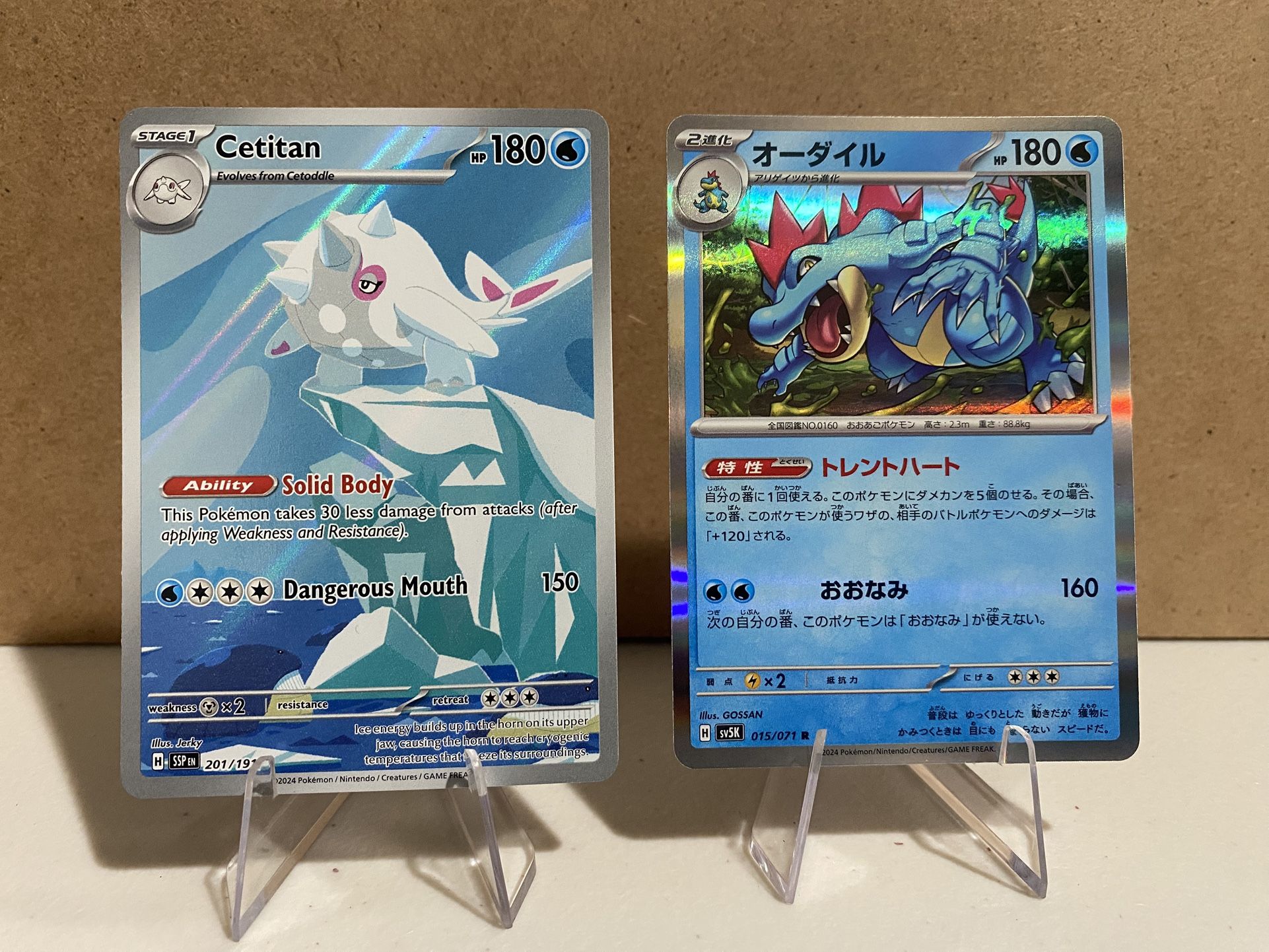 Cetitan Illustration Rare Card + JP Holo Feraligater