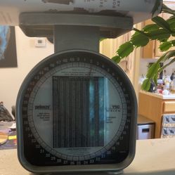 Scale