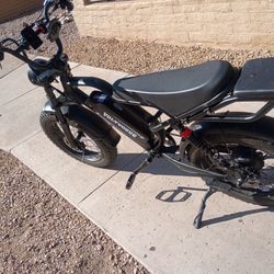 VoltVogue Electric Bike