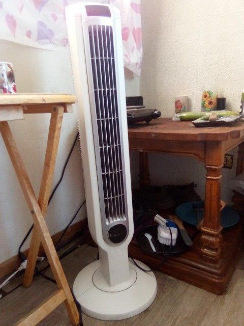 Cooling Fan