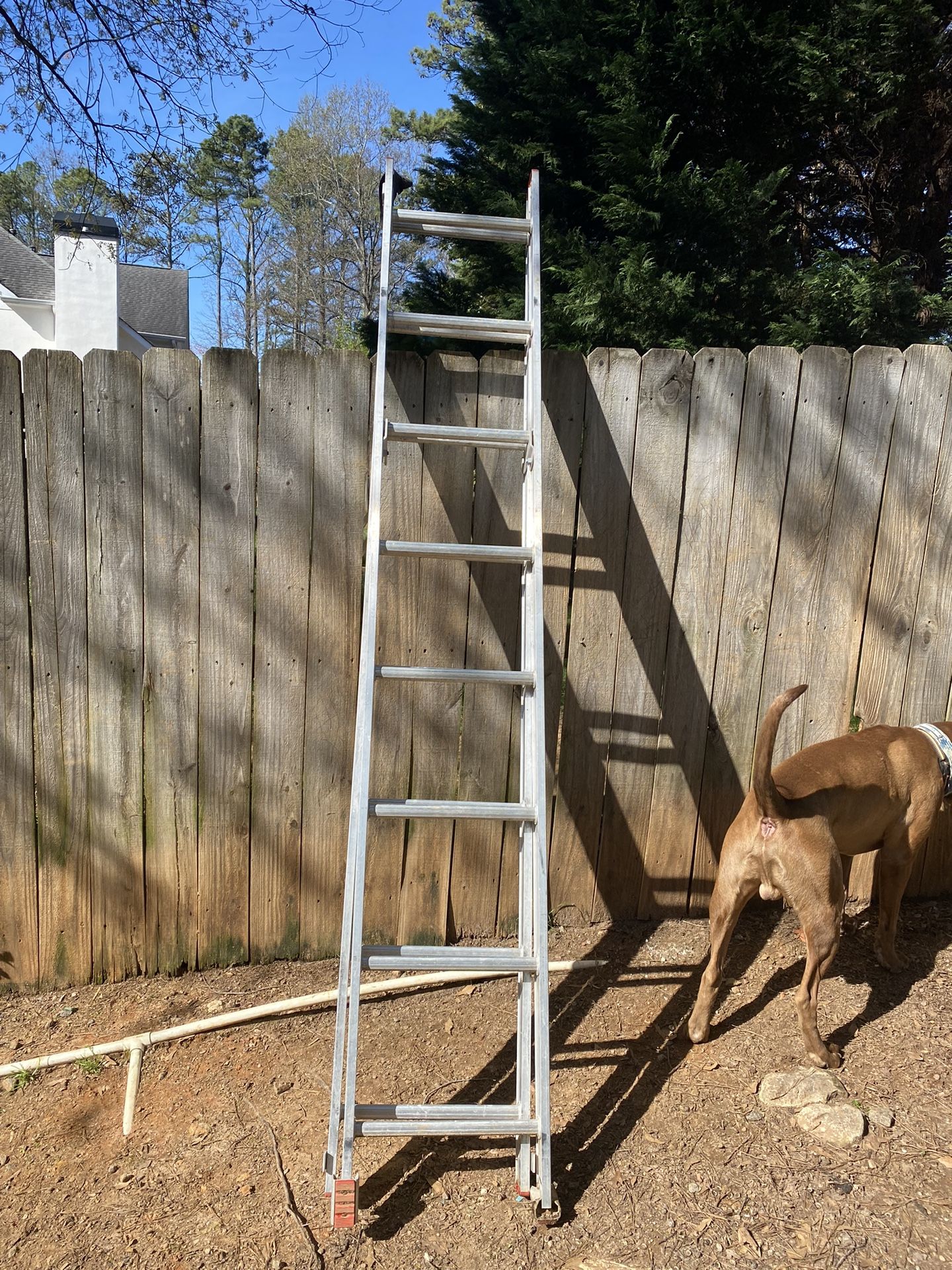 Werner Aluminum Ladder