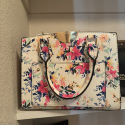 Aldo purse