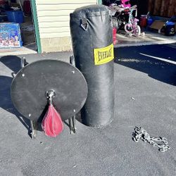 Everlast Boxing And Speed Bags 