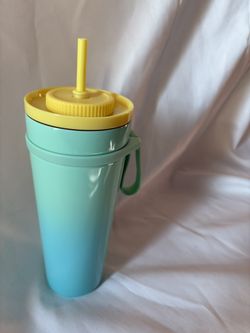 Starbucks Insulated Green Blue  aluminum Tumbler