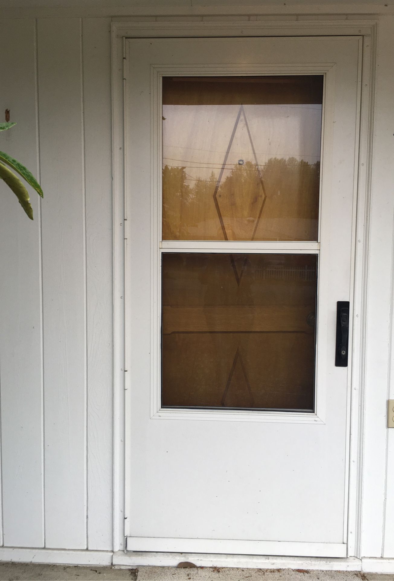 Storm Door