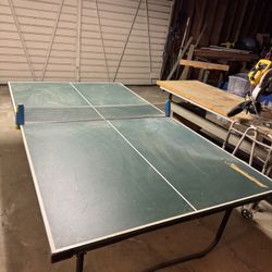 Ping Pong Table