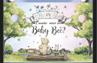 Winnie The Pooh Gender Reveal Banner