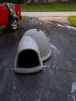 Igloo dog house