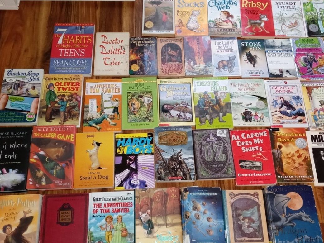 (43) Kids Chapter Books- Great Condition- Good Variety! (Grades 2-5) - $40 (san jose south)