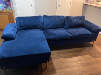 Blue couches