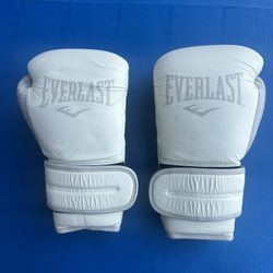 Everlast Boxing Gloves 