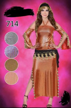 Beautiful oriental belly dancing suit. Available in gold/red, gold/silver, silver/black, blue/gold, or pink/gold. One size fits all (S, M, L,XL) Com
