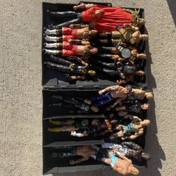 WWE Superstar Action Figures!