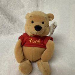Disney Winnie The Pooh Beanbag Plushie