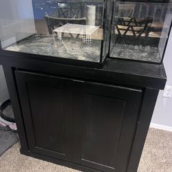 Saltwater Frag Tank 