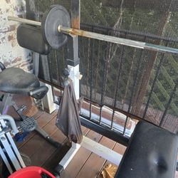 Weight Bench With Weights