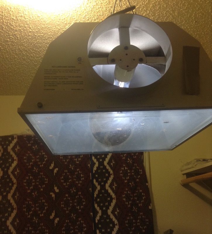 600 watt high pressure sodium light with ballast and hood.