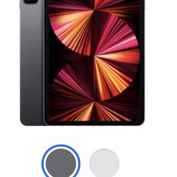 iPad Pro 11inch Cellular M1 256GB