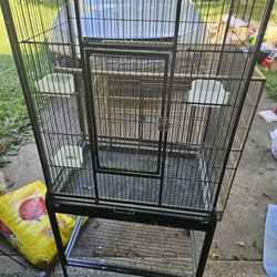 Bird Cages 