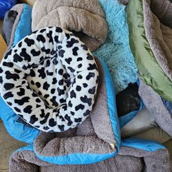 New Pet Bed