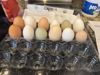 Fresh Eggs!