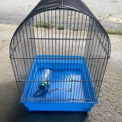 Bird Cage